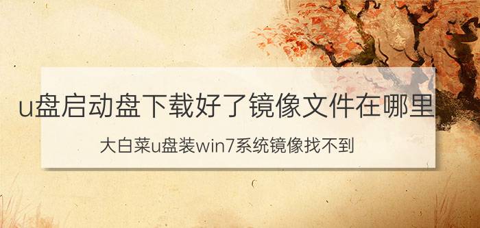 u盘启动盘下载好了镜像文件在哪里 大白菜u盘装win7系统镜像找不到？